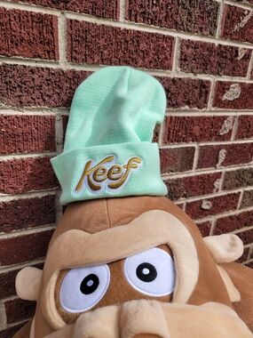 Mint Green Keef Embroidered Beanie